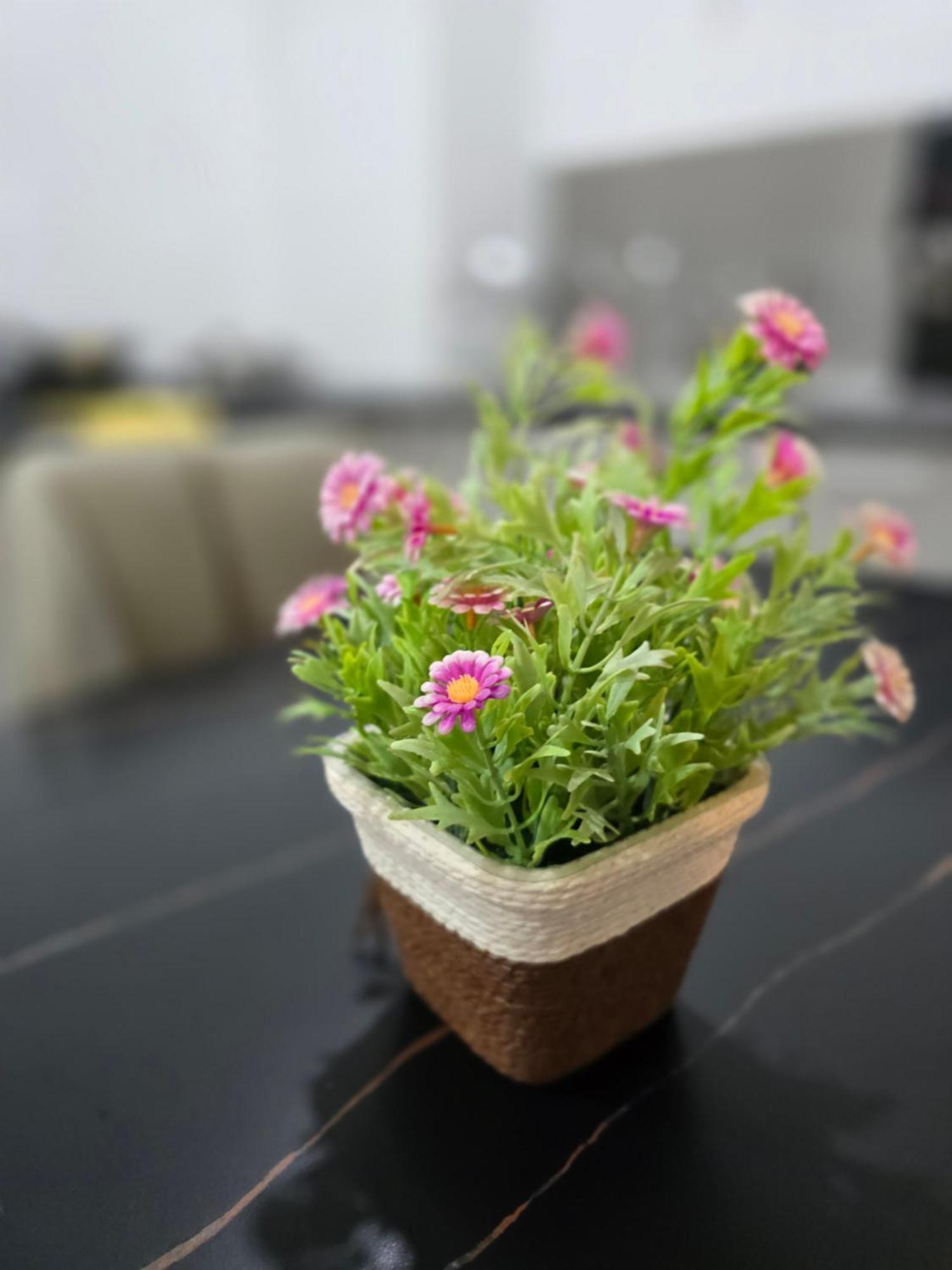 The Octagon Centre Leisure Apartment Ipoh